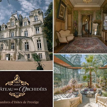 Chateau Des Orchidees En Val De Loire Сомюр Экстерьер фото