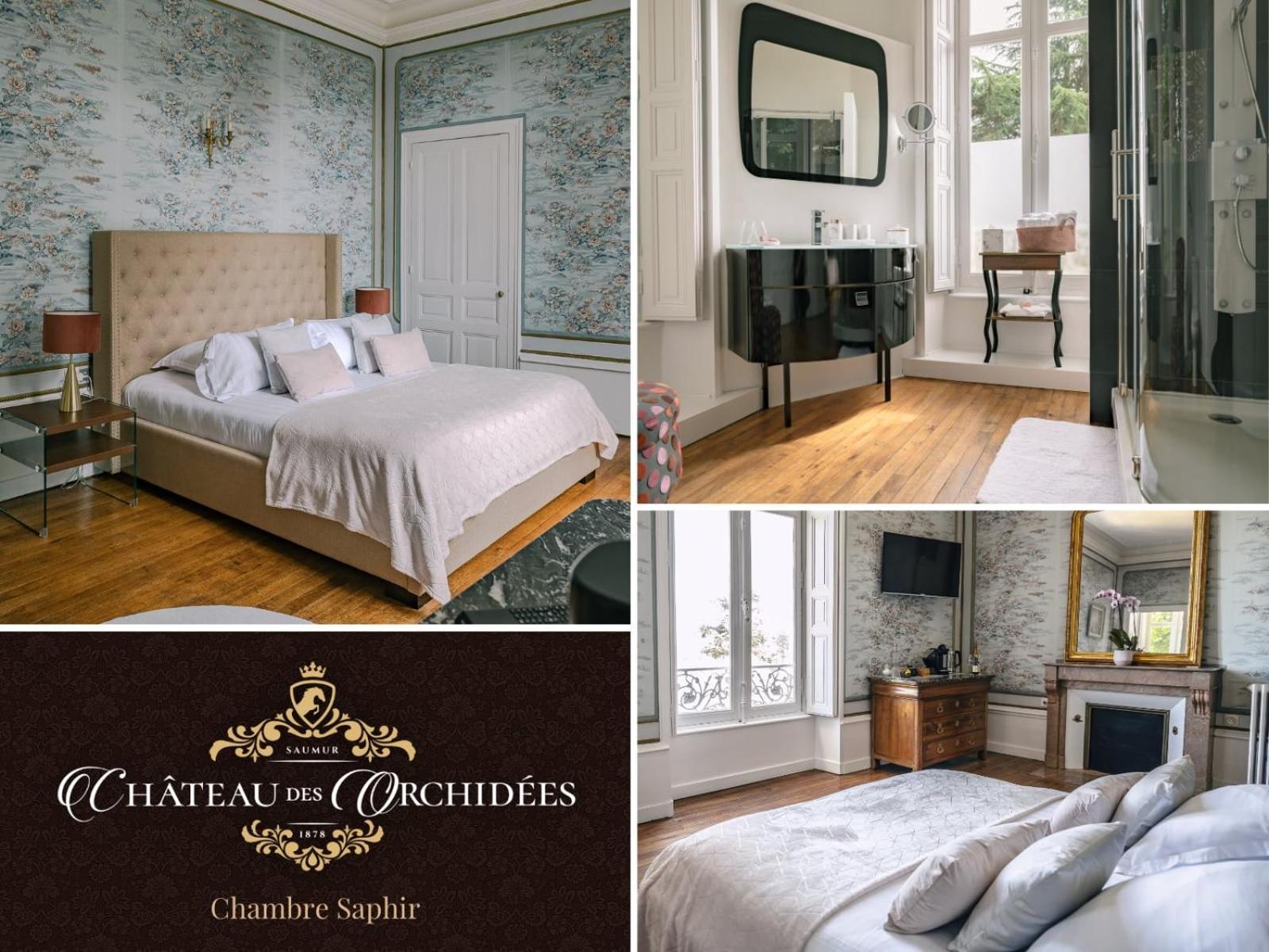 Chateau Des Orchidees En Val De Loire Сомюр Экстерьер фото