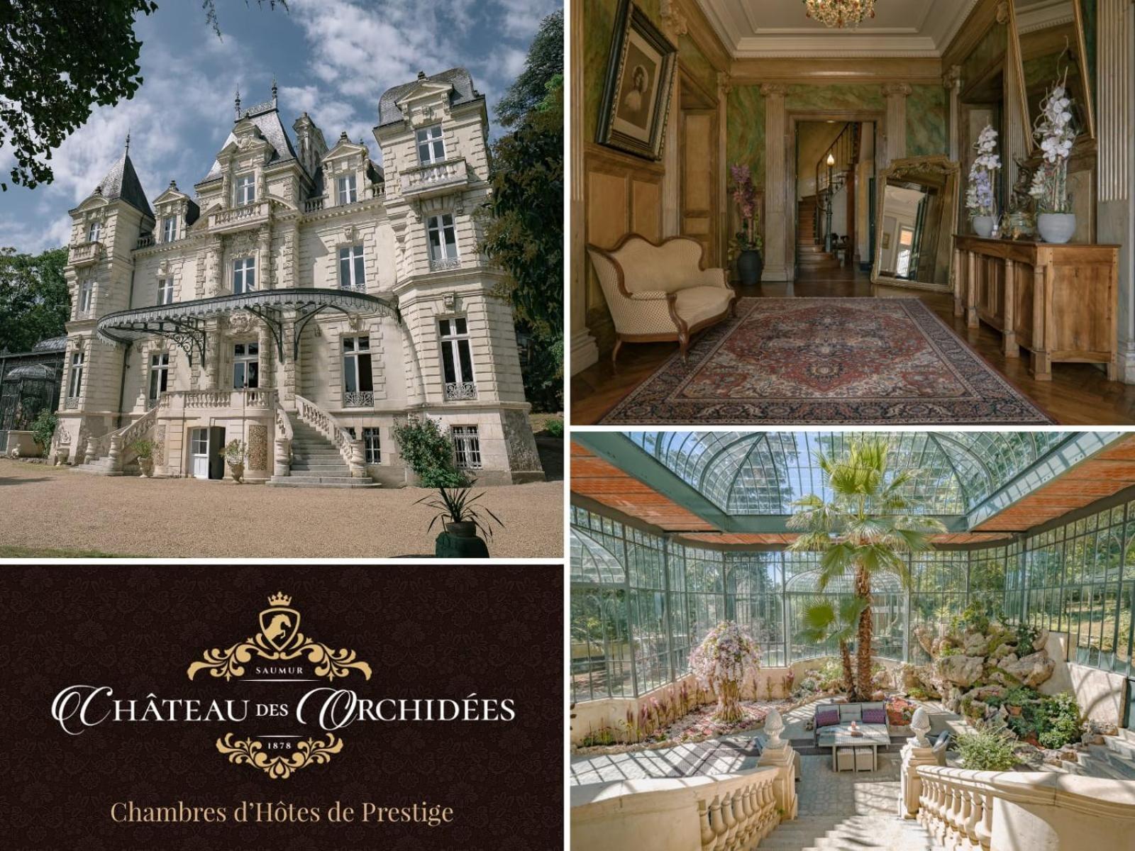 Chateau Des Orchidees En Val De Loire Сомюр Экстерьер фото