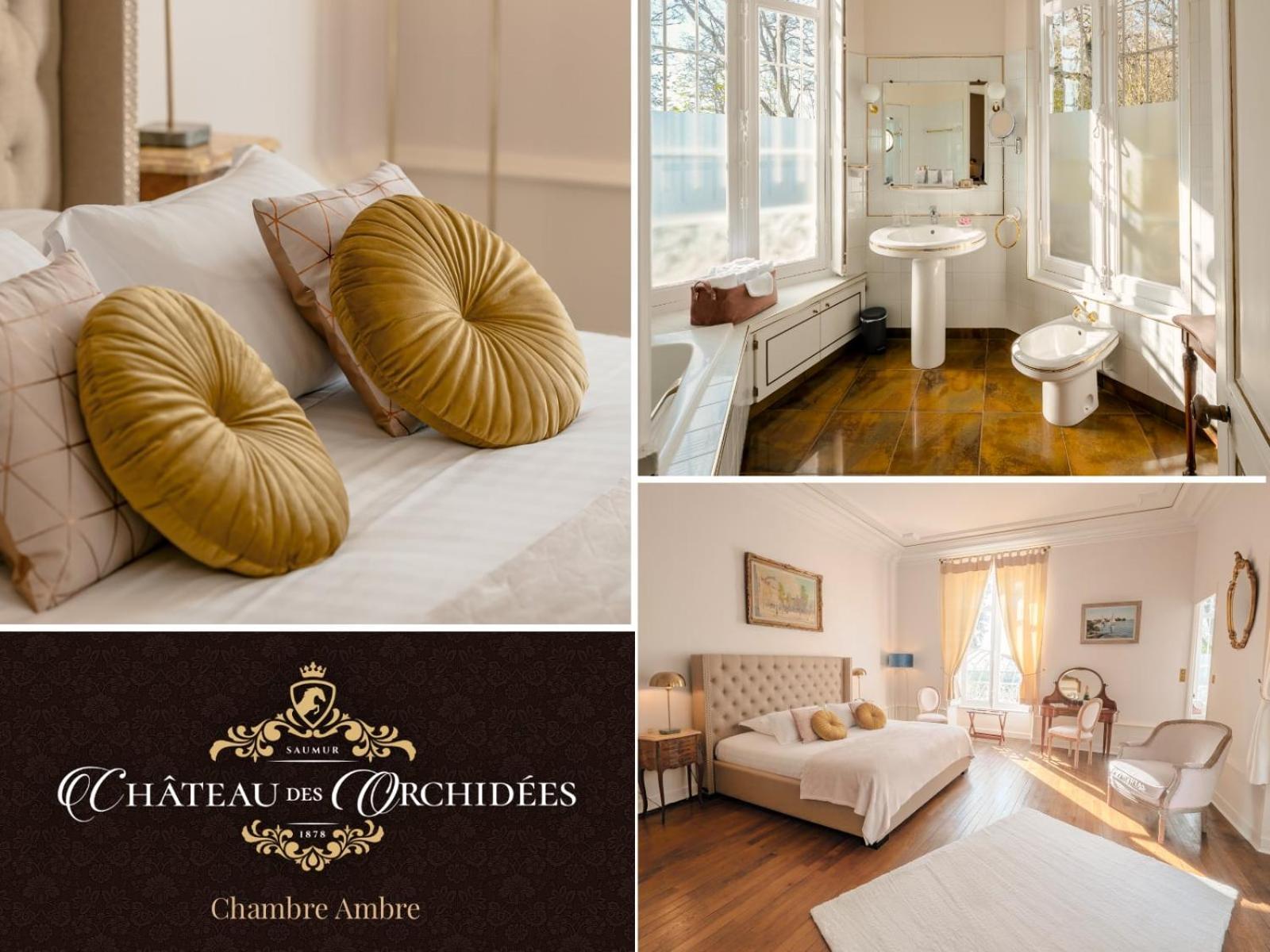 Chateau Des Orchidees En Val De Loire Сомюр Экстерьер фото